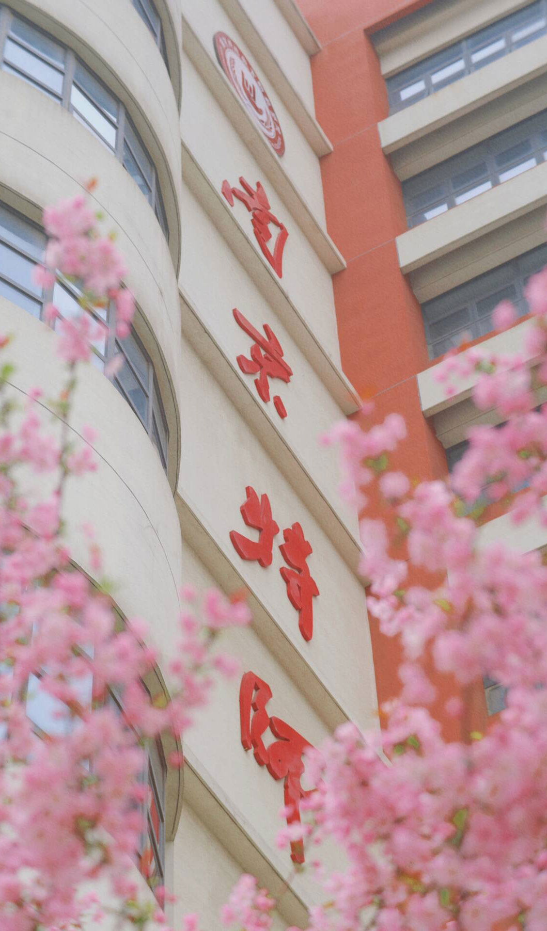 校园风景2