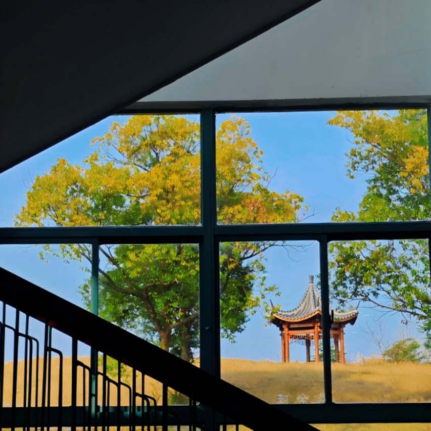 校园风景4